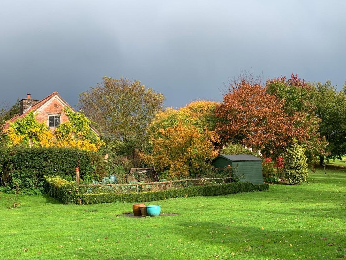 Medieval Cottage In Rural Monmouthshire. Raglan المظهر الخارجي الصورة